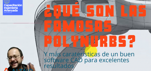 que son polynurbs